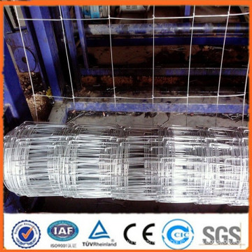 ISO9001 certifié PVC recouvert / électrique ou hot-galvanized grassland fence (usine)